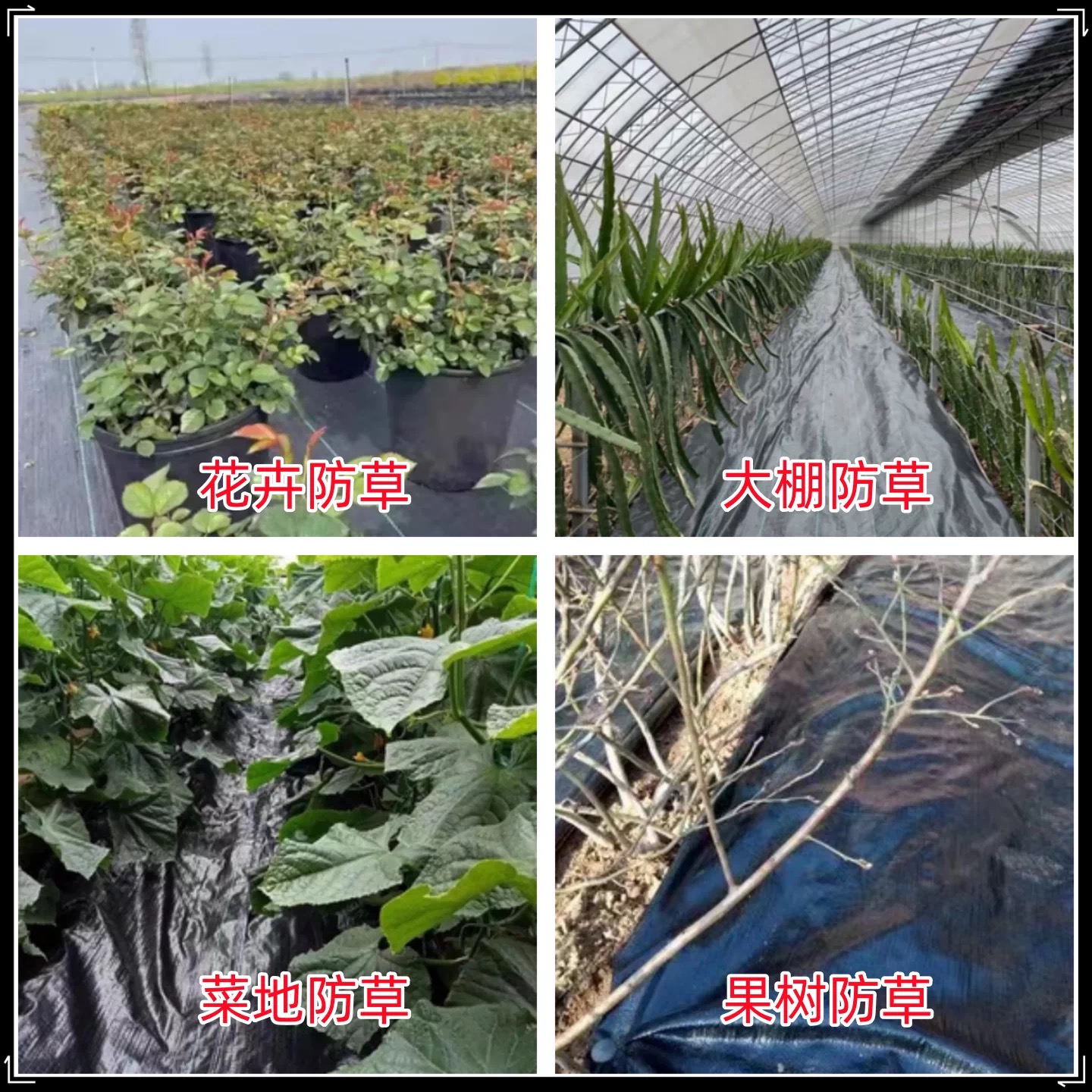 葫芦岛市黑白养殖膜防草布 - 排名