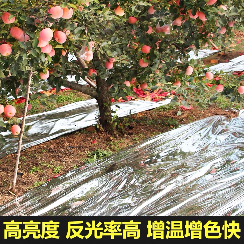 葫芦岛市黑白养殖膜果树反光膜 - 排名